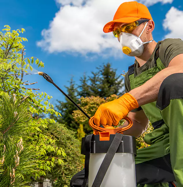 Why Choose Parsippany Pest Control Pro for Outdoor Pest Control in Parsippany, NJ?