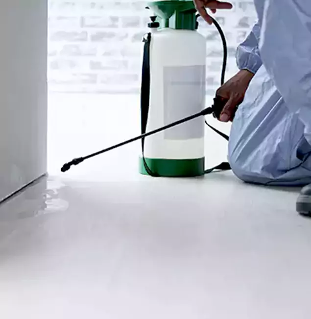 Why Choose Parsippany Pest Control Pro for Rat Exterminator in Parsippany, NJ?