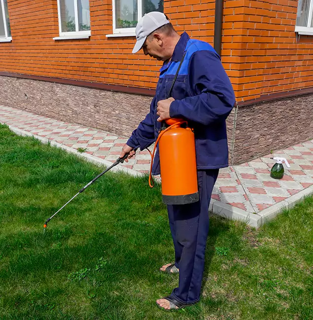 Why Choose Parsippany Pest Control Pro for Residential Pest Control in Parsippany, NJ?
