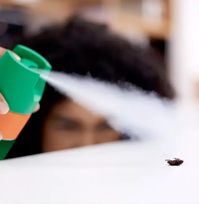 Why Parsippany, NJ Homeowners Choose Parsippany Pest Control Pro for Roach Pest Control?