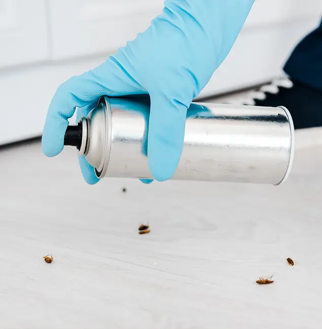 Why Choose Parsippany Pest Control Pro for Safe Bed Bug Treatment in Parsippany, NJ?
