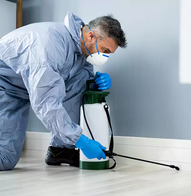 Why Choose Parsippany Pest Control Pro for Subterranean Termites Treatment in Parsippany, NJ?