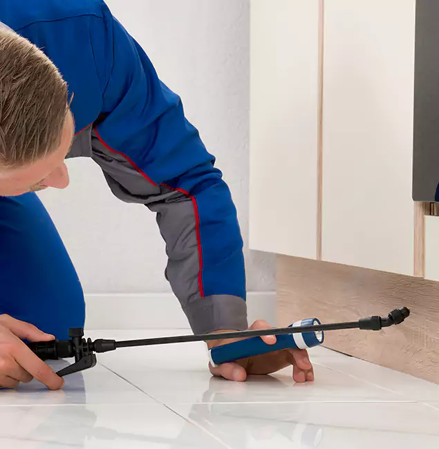 Why Parsippany Residents Choose Parsippany Pest Control Pro to Get Rid of Sugar Ants?