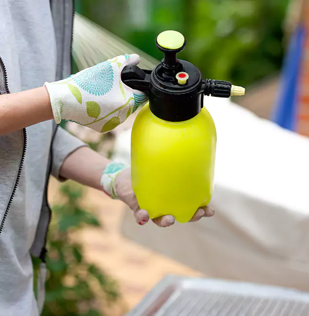 Why Choose Us: Parsippany Pest Control Pro Termite Spraying Experts in Parsippany, NJ?