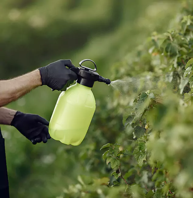 Why Parsippany Homeowners Choose Parsippany Pest Control Pro for Yard Tick Treatment?