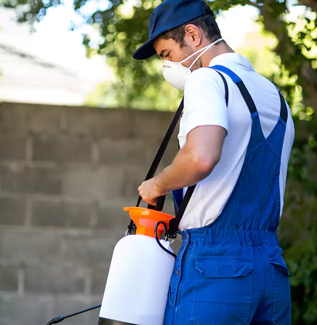 Why Parsippany Pest Control Pro Is the Right Choice for Yellow Jacket Removal in Parsippany, NJ?