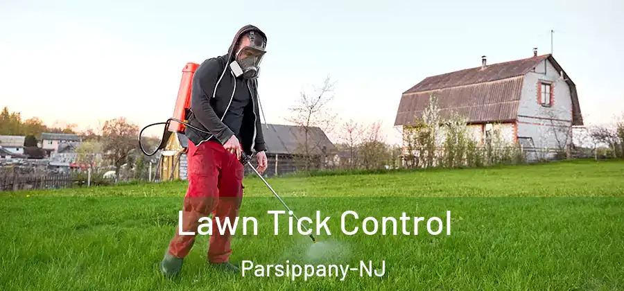 Lawn Tick Control Parsippany-NJ