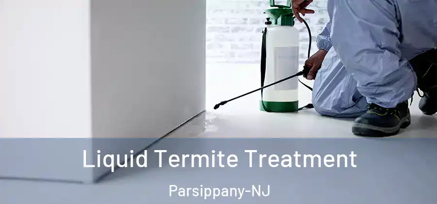 Liquid Termite Treatment Parsippany-NJ