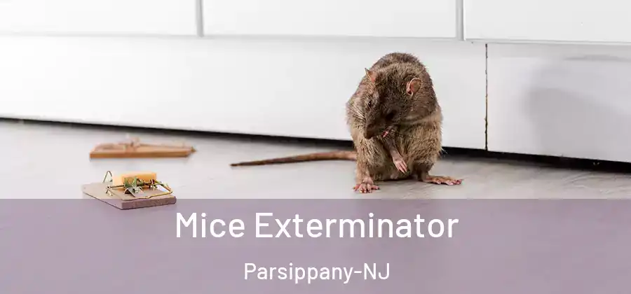 Mice Exterminator Parsippany-NJ