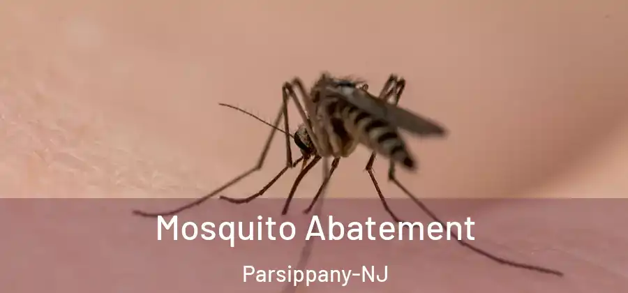 Mosquito Abatement Parsippany-NJ