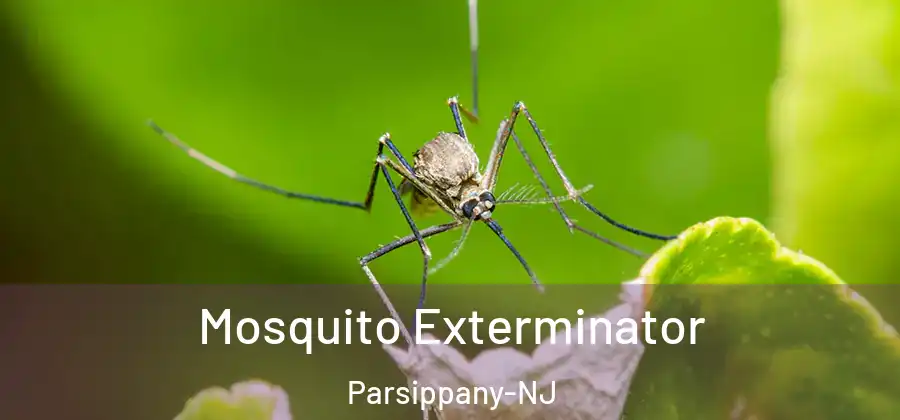 Mosquito Exterminator Parsippany-NJ