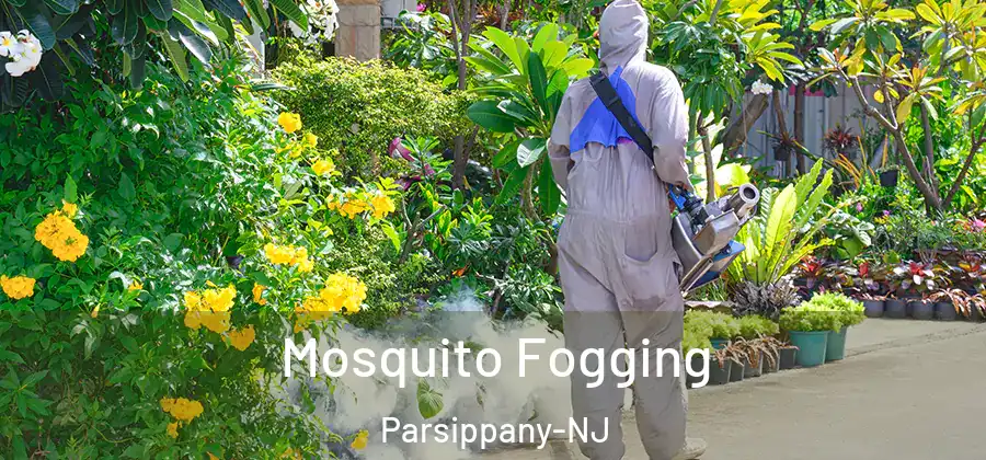 Mosquito Fogging Parsippany-NJ