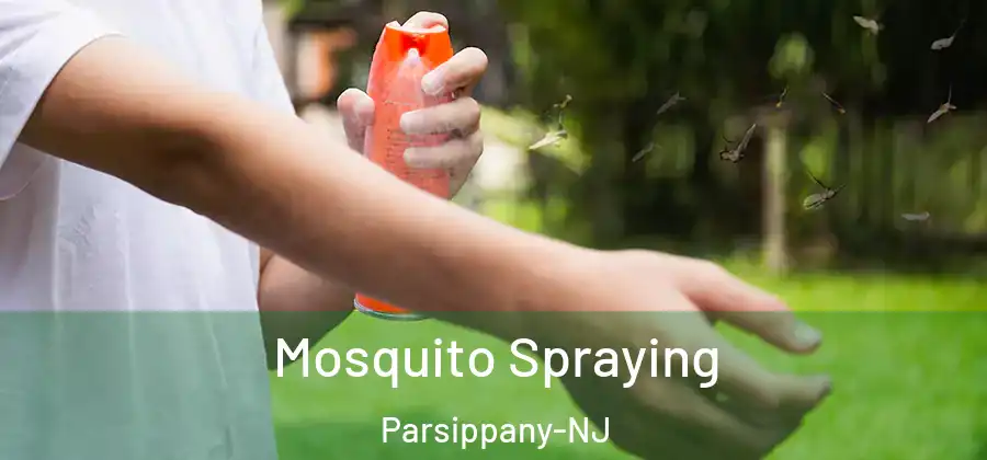 Mosquito Spraying Parsippany-NJ