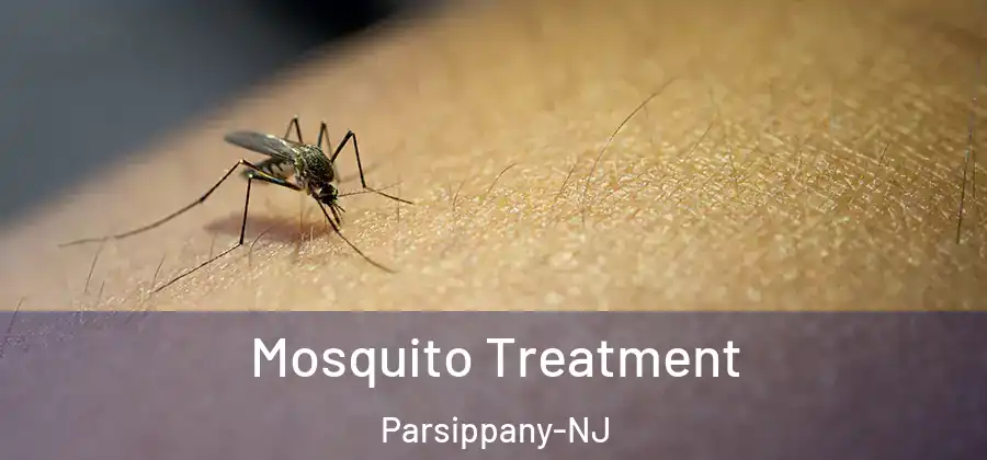 Mosquito Treatment Parsippany-NJ