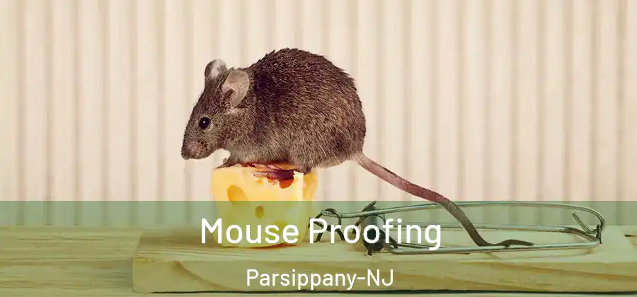  Mouse Proofing Parsippany-NJ