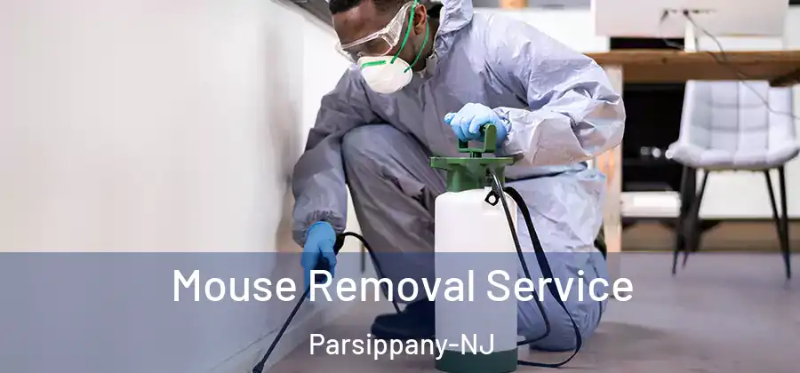 Mouse Removal Service Parsippany-NJ