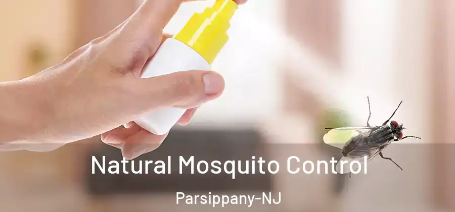  Natural Mosquito Control Parsippany-NJ