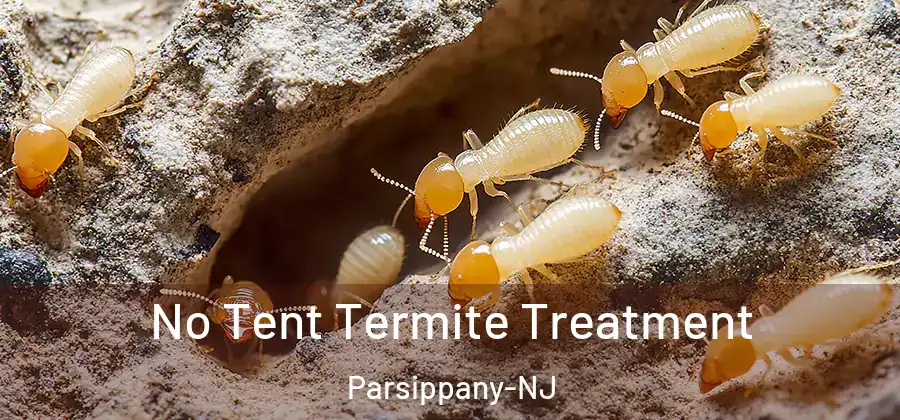  No Tent Termite Treatment Parsippany-NJ