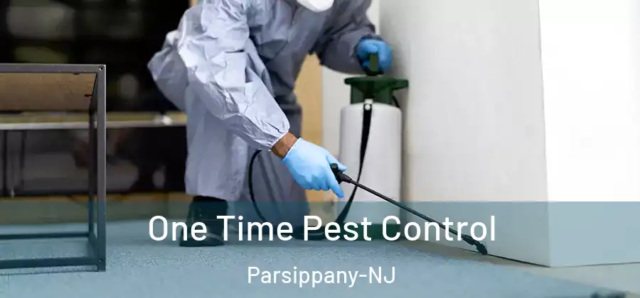 One Time Pest Control Parsippany-NJ