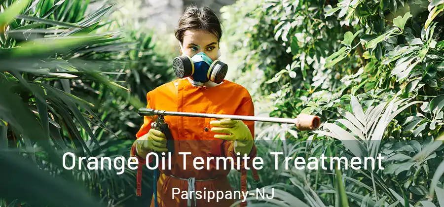 Orange Oil Termite Treatment Parsippany-NJ