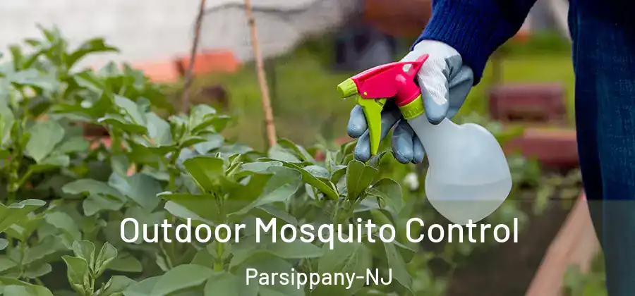 Outdoor Mosquito Control Parsippany-NJ