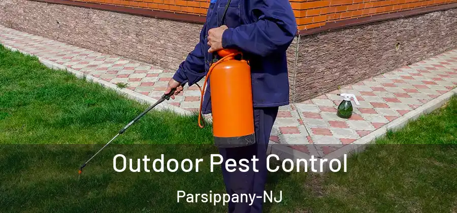 Outdoor Pest Control Parsippany-NJ