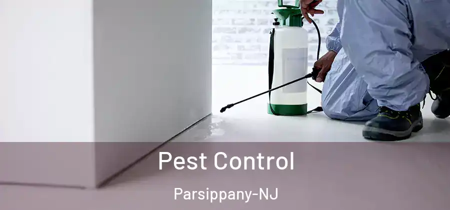 Pest Control Parsippany-NJ