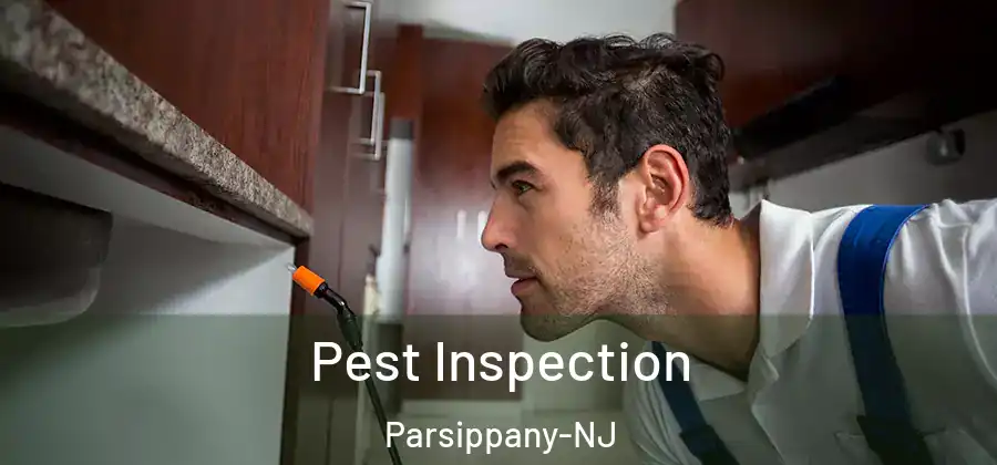 Pest Inspection Parsippany-NJ