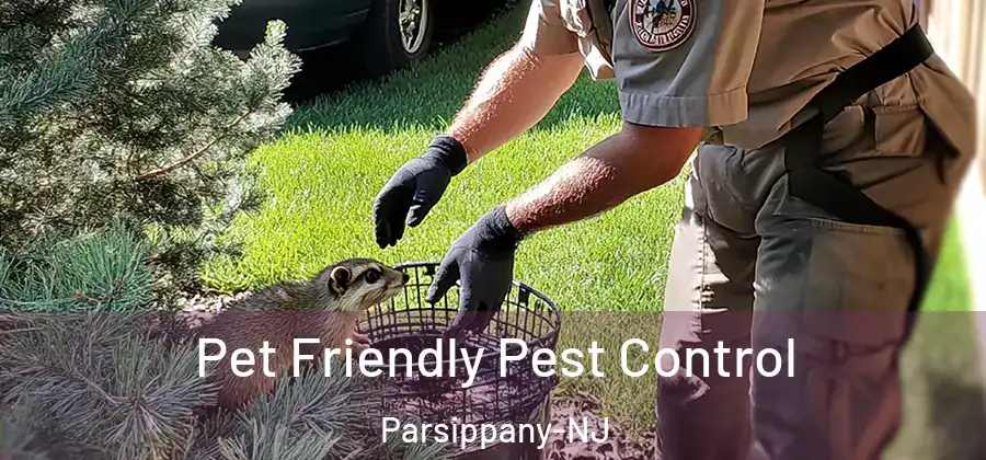 Pet Friendly Pest Control Parsippany-NJ
