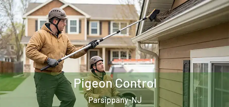  Pigeon Control Parsippany-NJ