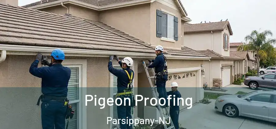 Pigeon Proofing Parsippany-NJ