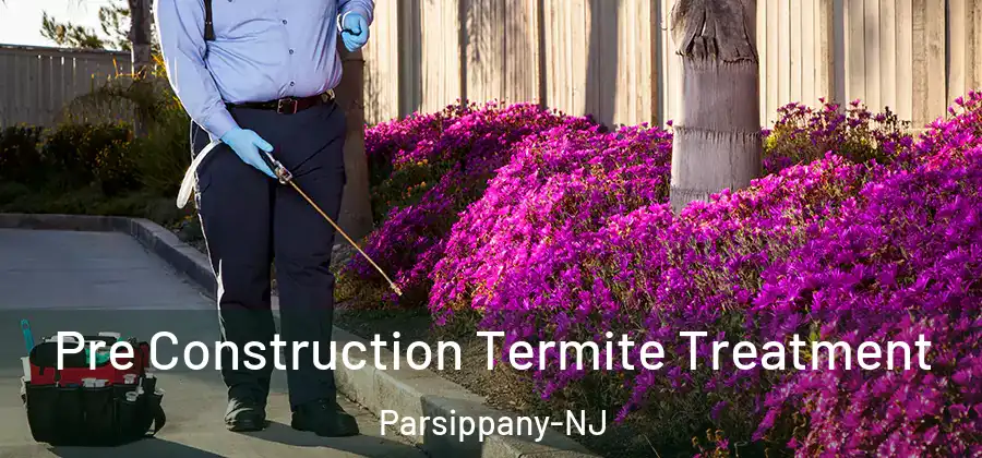  Pre Construction Termite Treatment Parsippany-NJ