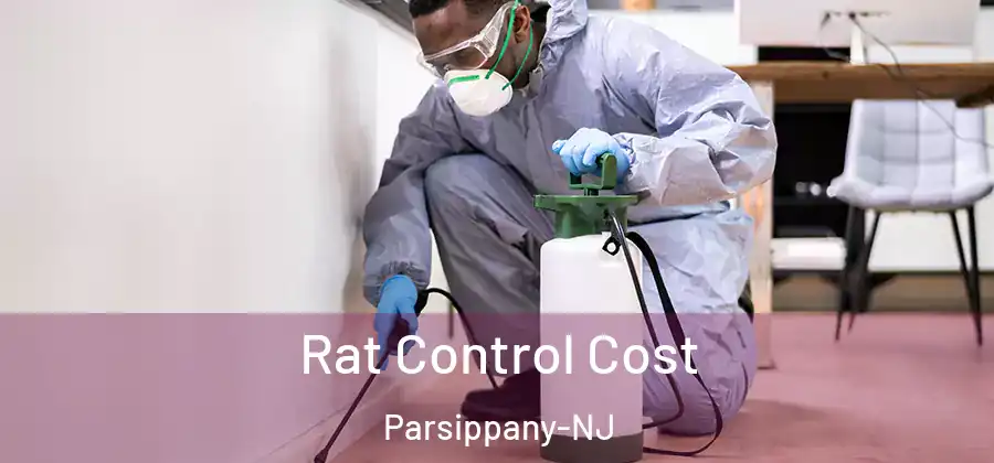  Rat Control Cost Parsippany-NJ