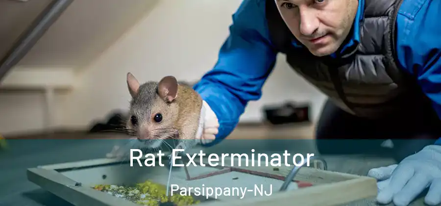  Rat Exterminator Parsippany-NJ