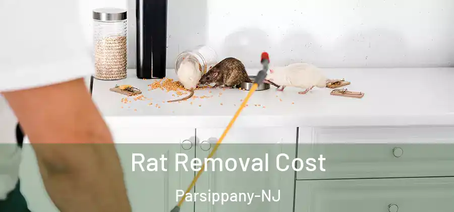 Rat Removal Cost Parsippany-NJ