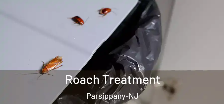 Roach Treatment Parsippany-NJ