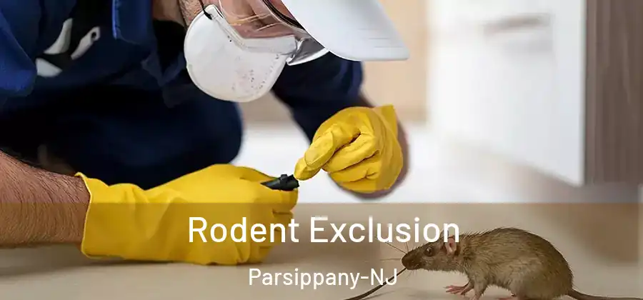 Rodent Exclusion Parsippany-NJ