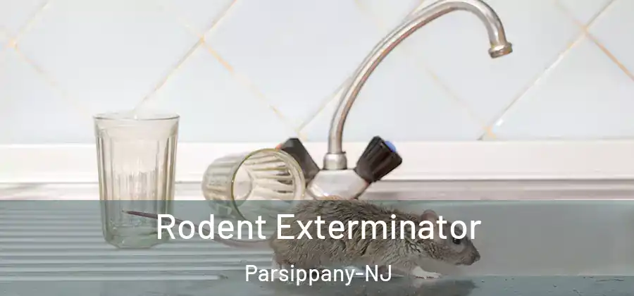Rodent Exterminator Parsippany-NJ