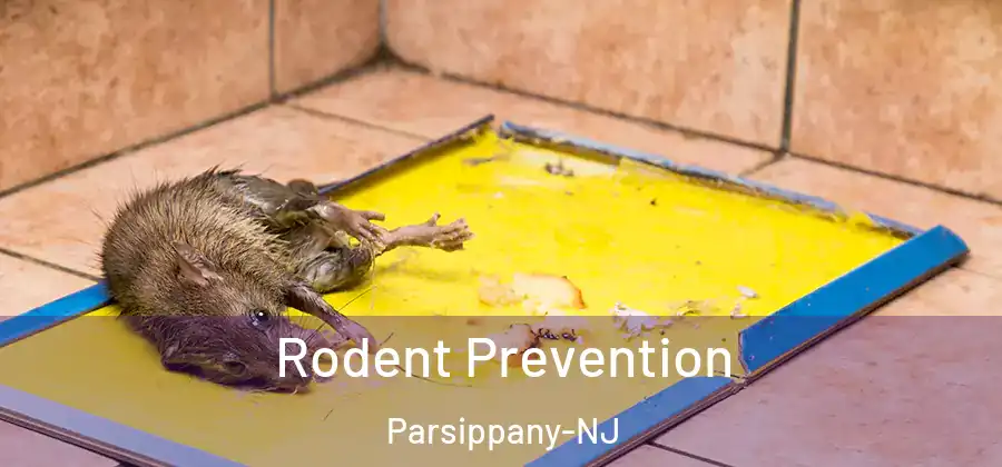 Rodent Prevention Parsippany-NJ