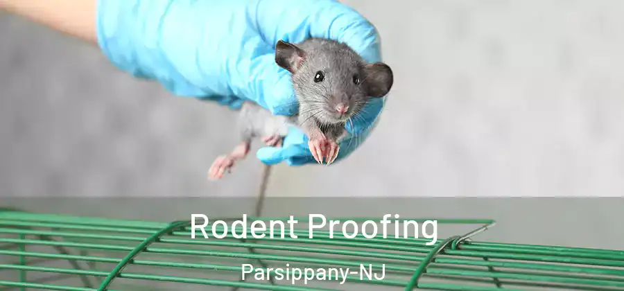Rodent Proofing Parsippany-NJ