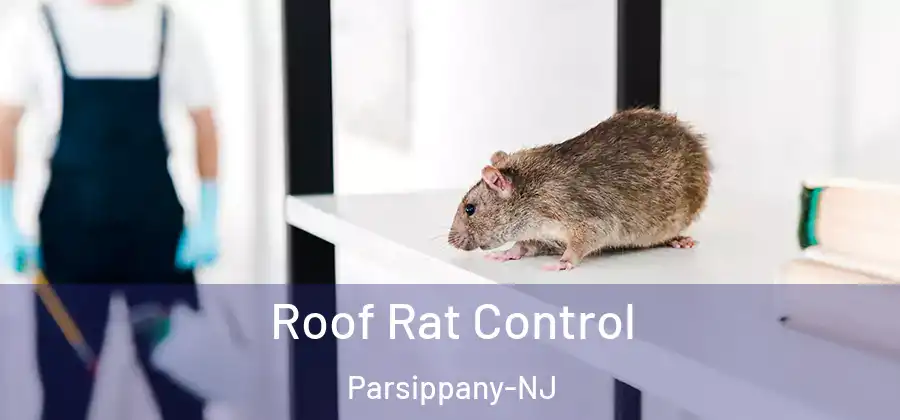 Roof Rat Control Parsippany-NJ