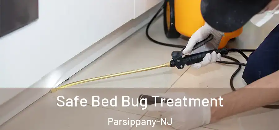 Safe Bed Bug Treatment Parsippany-NJ
