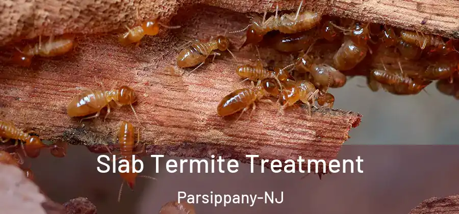  Slab Termite Treatment Parsippany-NJ