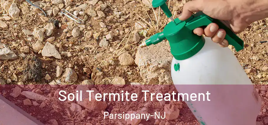  Soil Termite Treatment Parsippany-NJ