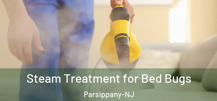 Steam Treatment for Bed Bugs Parsippany-NJ