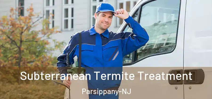 Subterranean Termite Treatment Parsippany-NJ