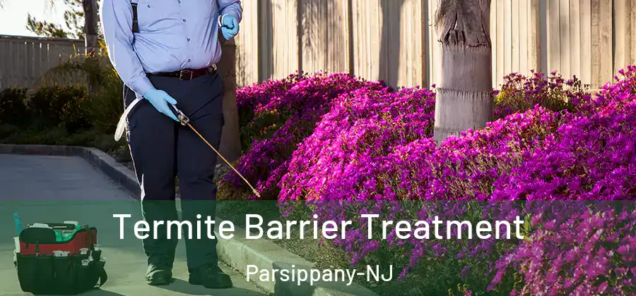 Termite Barrier Treatment Parsippany-NJ