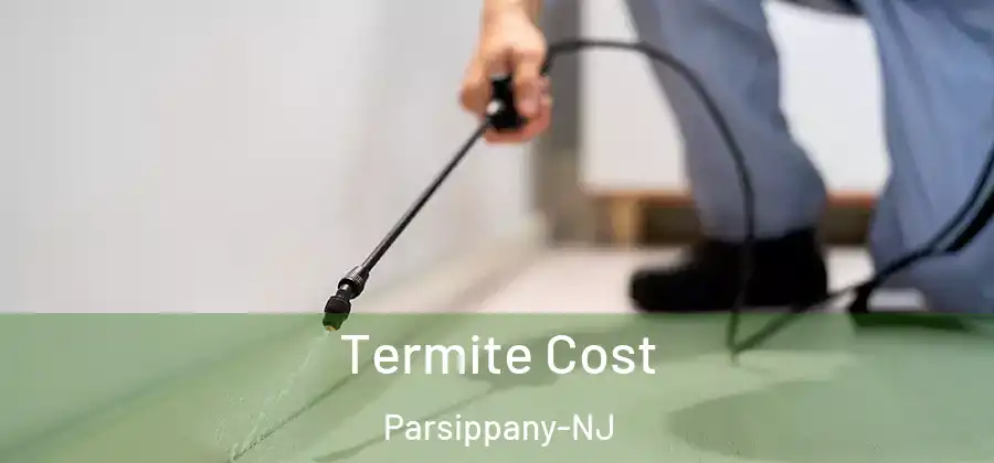 Termite Cost Parsippany-NJ