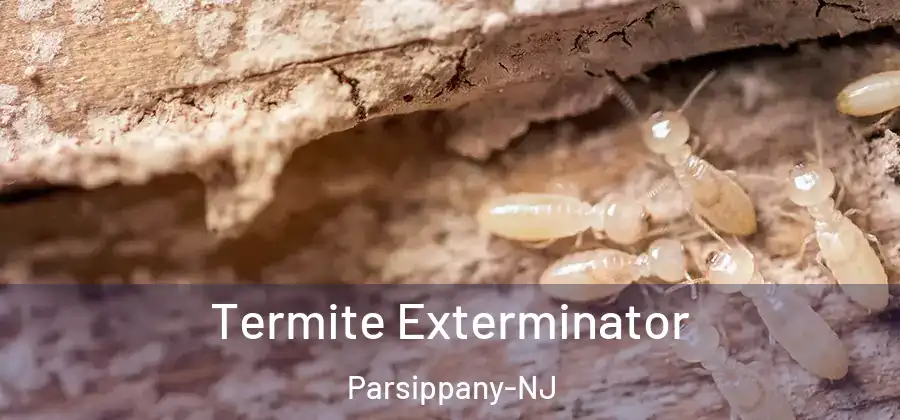 Termite Exterminator Parsippany-NJ