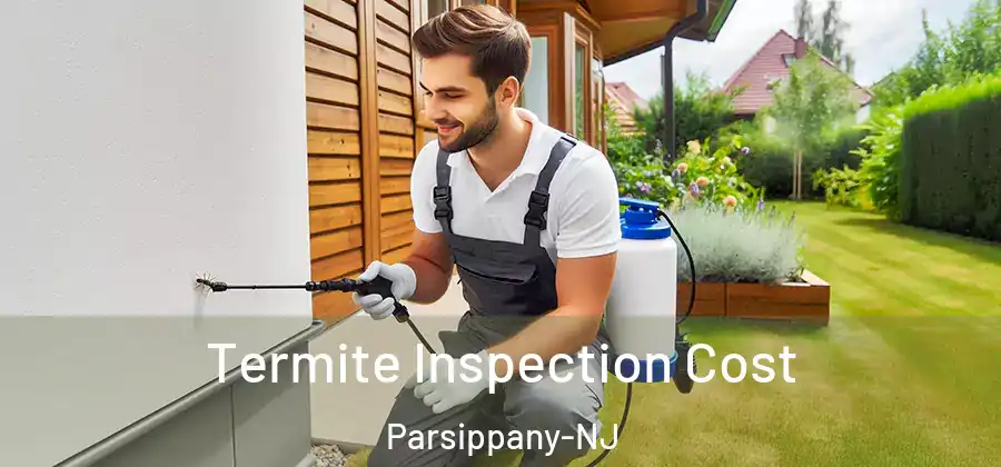 Termite Inspection Cost Parsippany-NJ